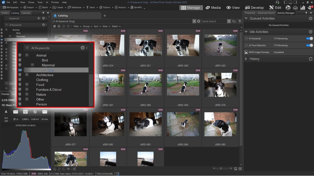 ACDSee Photo Studio 2025 Ultimate screenshot showing the Manage mode with AI keywords