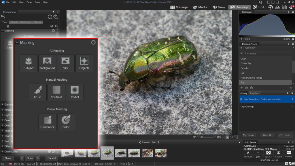 ACDSee Photo Studio 2025 Ultimate screenshot showing AI mask types