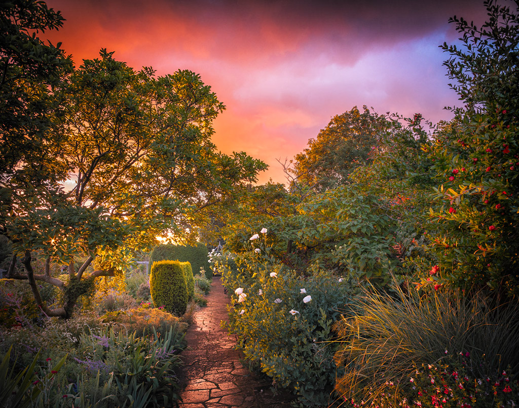 'Spectacle of the Painted Storm', Location: Brockwell Park, Lambeth, London. © Max Rush, 1st Place, Beautiful Gardens, Overall Winner, Competition 18.