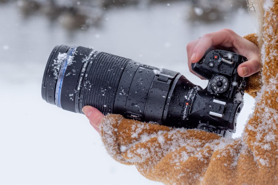 OM System 100-400mm F5-6.3 IS II on OM System OM-1 Mark II