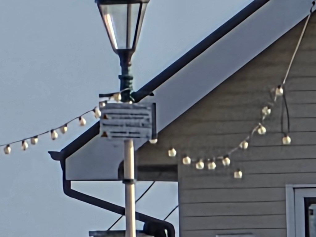 A sample image taken with the Samsung Galaxy S25 Ultra, 5x lens/100x crop