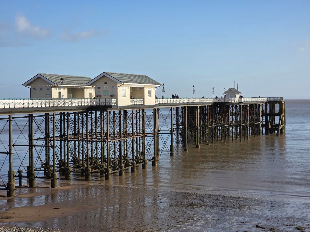 A sample image taken with the Samsung Galaxy S25 Ultra, 3x lens