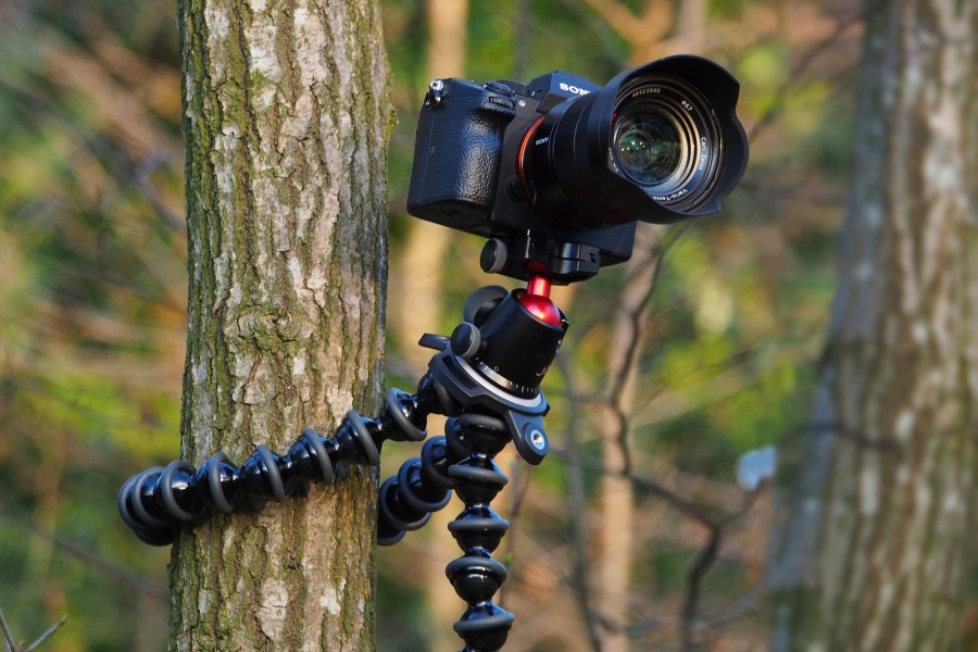 Joby GorillaPod 5K Rig - Photo JW