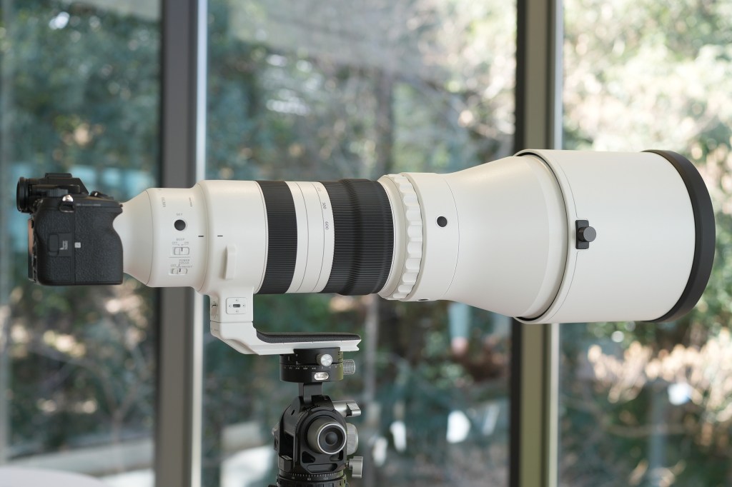 Sigma 300-600mm F4 DG OS Sports Lens. Photo Andy Westlake