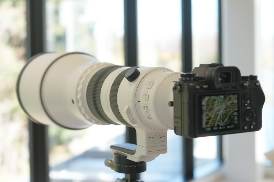 Sigma 300-600mm F4 DG OS Sports Lens. Photo Andy Westlake