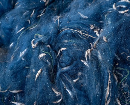 Sambaza, a sardine local to the waters of Lake Kivu, are captured in a net. Several factors, including overfishing and the presence of gas extraction plants, threaten the sambaza population. Goma, DRC, 20 March 2024.
