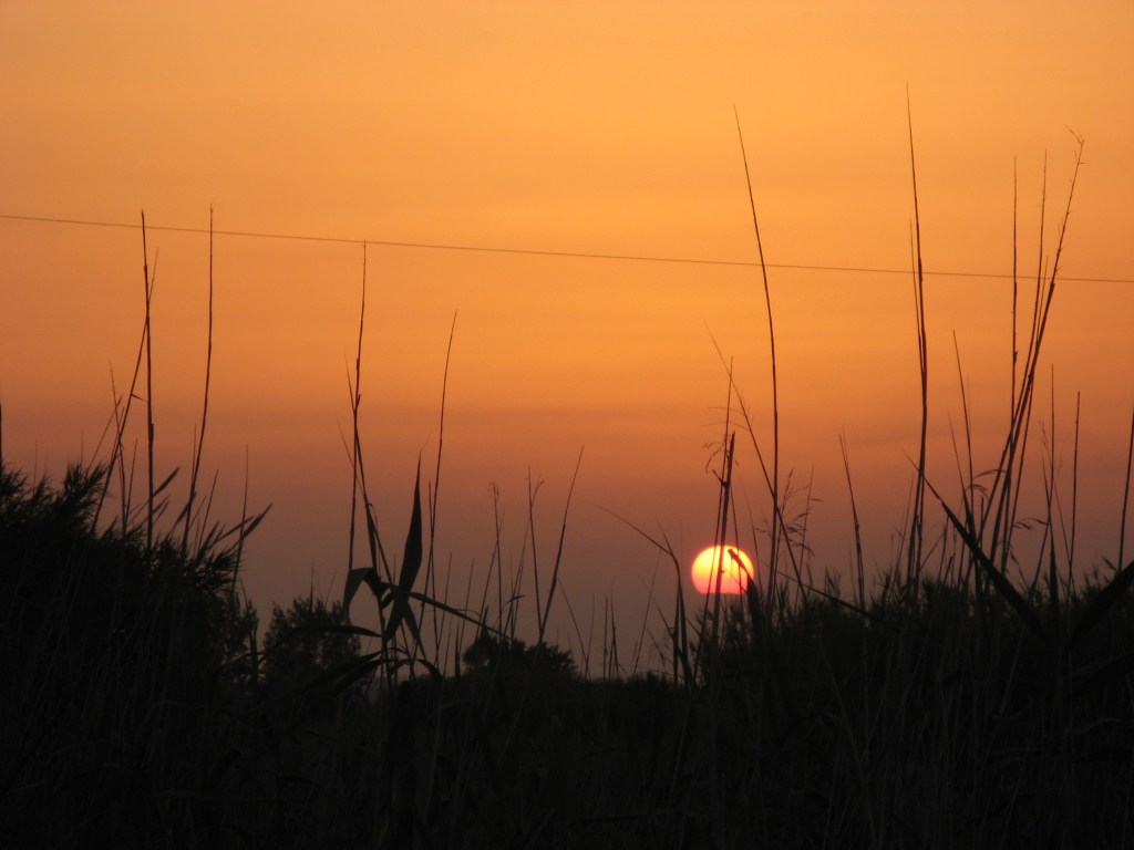 Canon Powershot A700 sample photo taken in 2006. Image copyright Joshua Waller