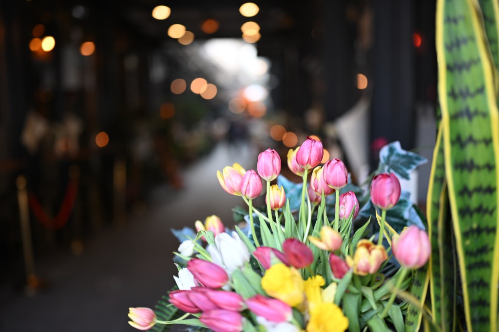 A sample image taken with the Nikon Nikkor Z 35mm f/1.2S Lens