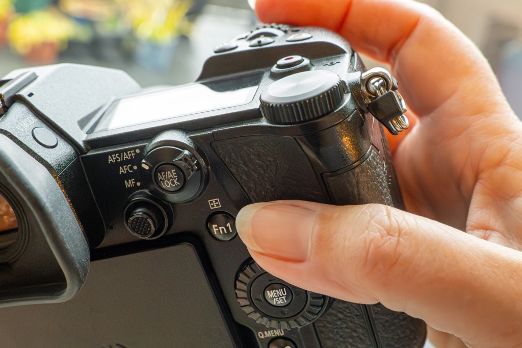 Why beginners need to consider ease-of-use when choosing a camera