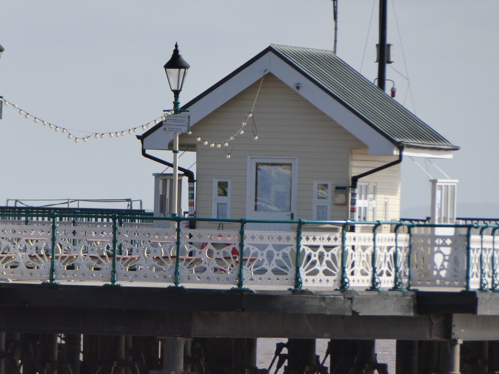 A sample image taken with the Panasonic Lumix ZS99 / TZ99