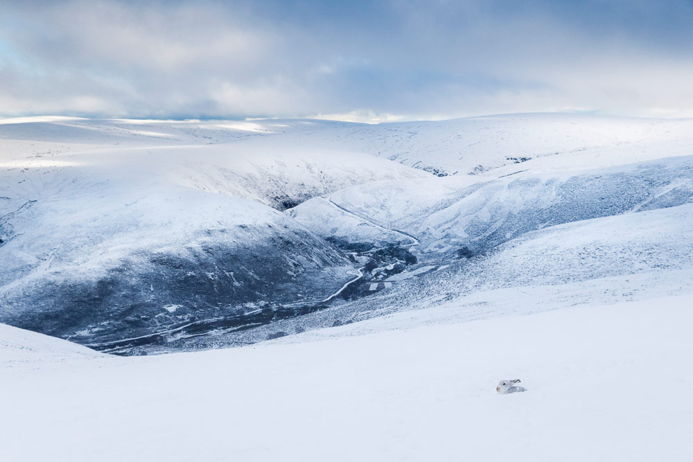 BWPA awards