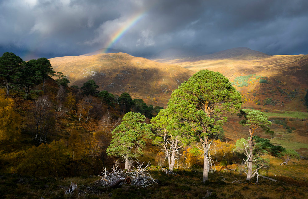 BWPA awards