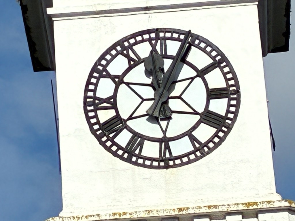 A sample image taken with the iPhone 16e, using the 10x setting