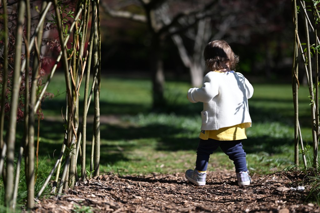 A sample image shot with the Nikon Z5 II