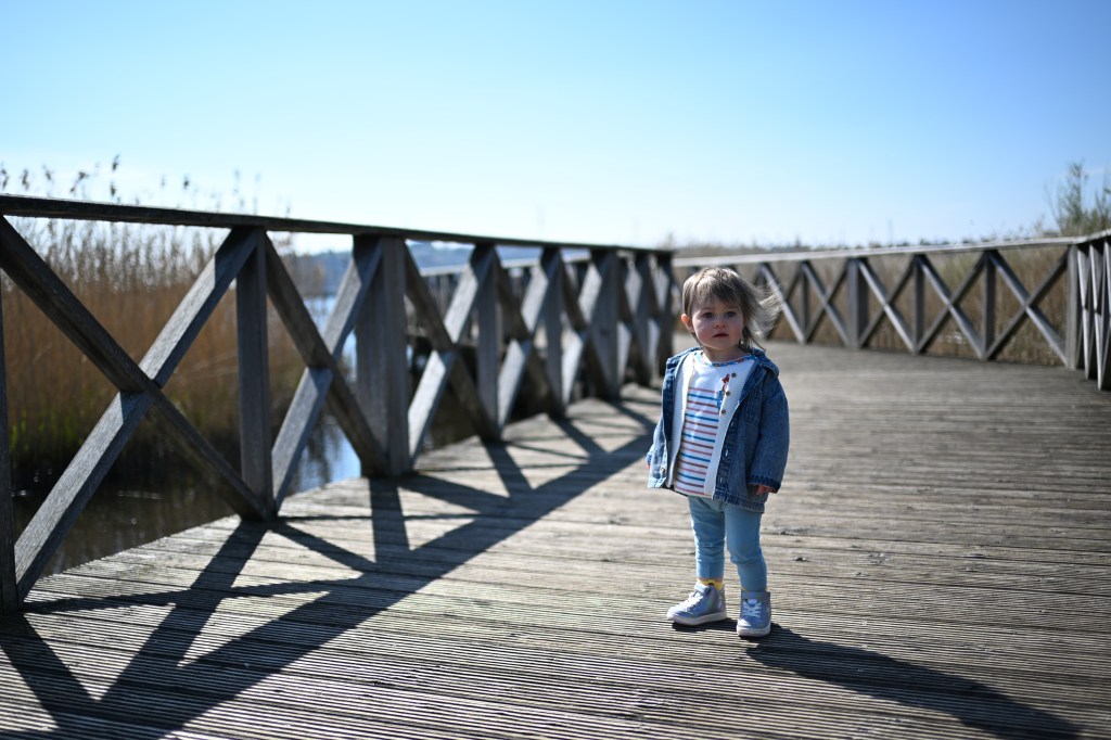 A sample image shot with the Nikon Z5 II