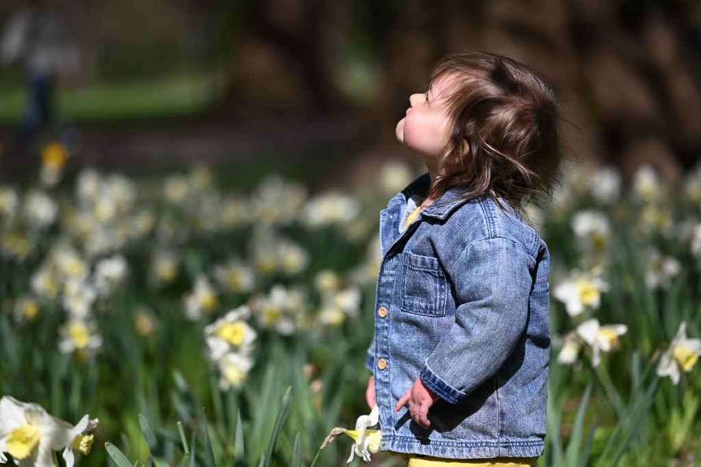 A sample image shot with the Nikon Z5 II