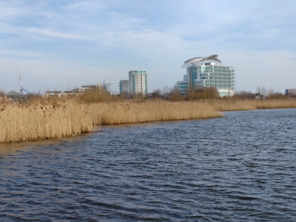 A sample image taken with the Oppo Find N5, 1x lens, 2x crop