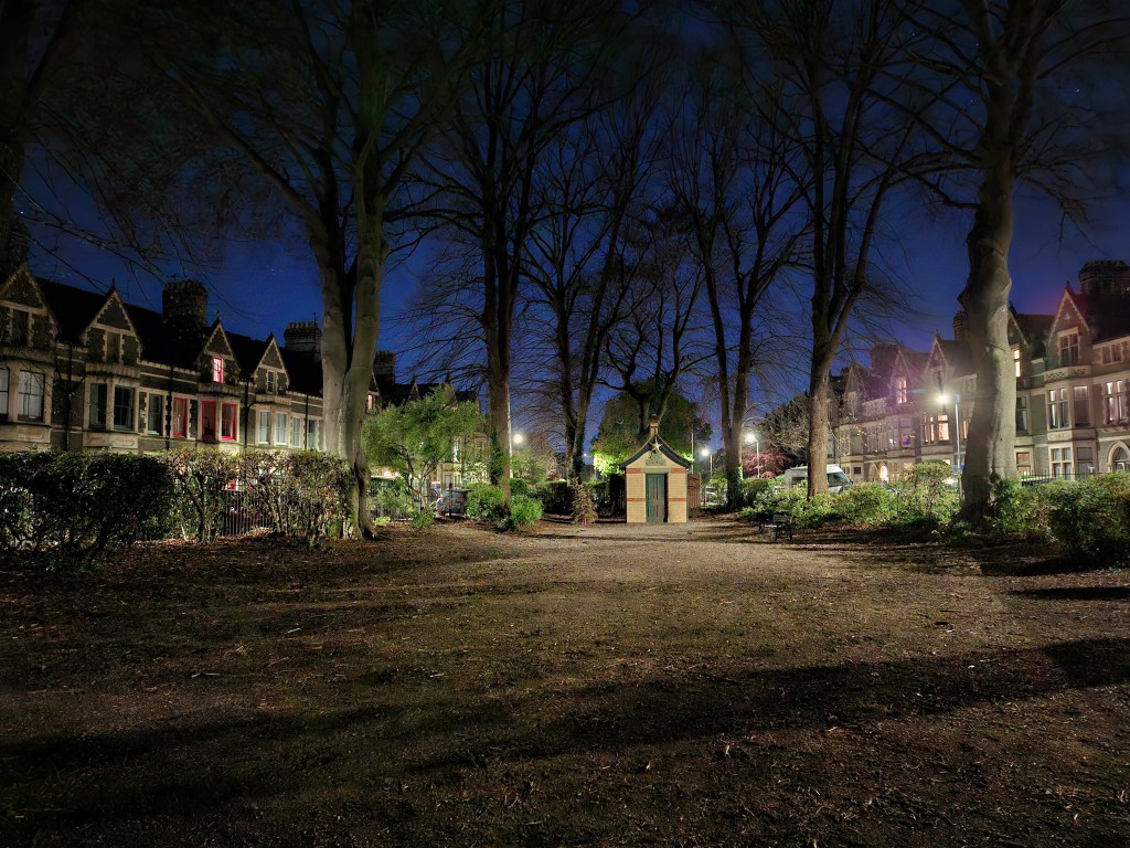 A low light image taken with the Samsung Galaxy A56, 1x lens