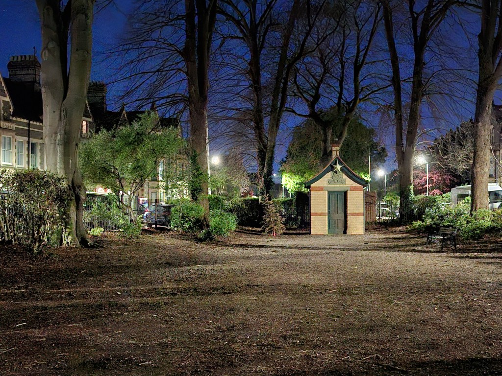 A low light image taken with the Samsung Galaxy A56, 1x lens/2x crop