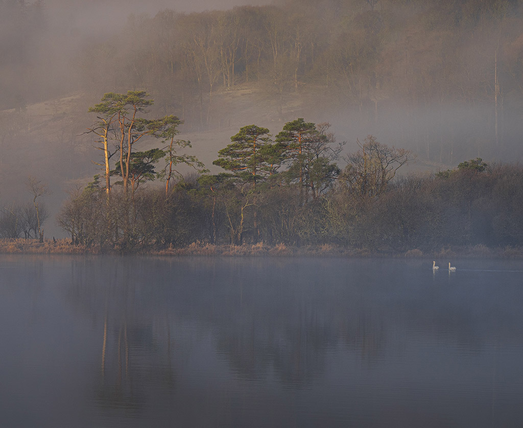 misty landscape photo