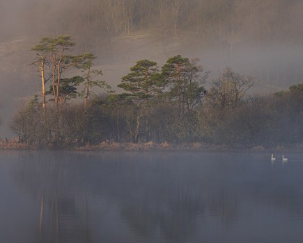 misty landscape photo