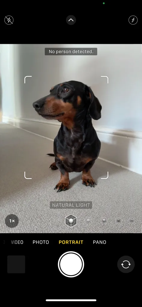 A screengrab showing the Portrait mode of the iPhone 16e refusing to recognise a dog