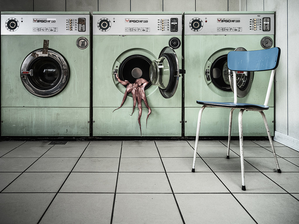 octopus hanging out of a washing machine