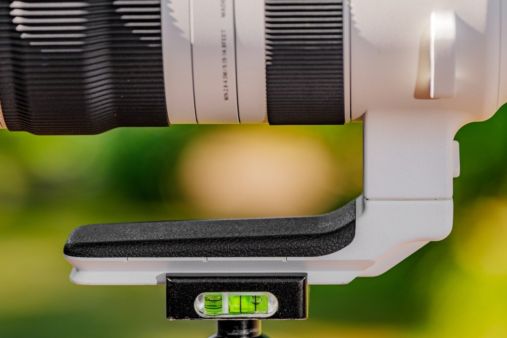 Sigma 300-600 F4 DG OS Sports