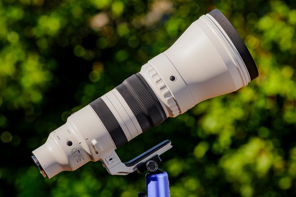 Sigma 300-600 F4 DG OS Sports