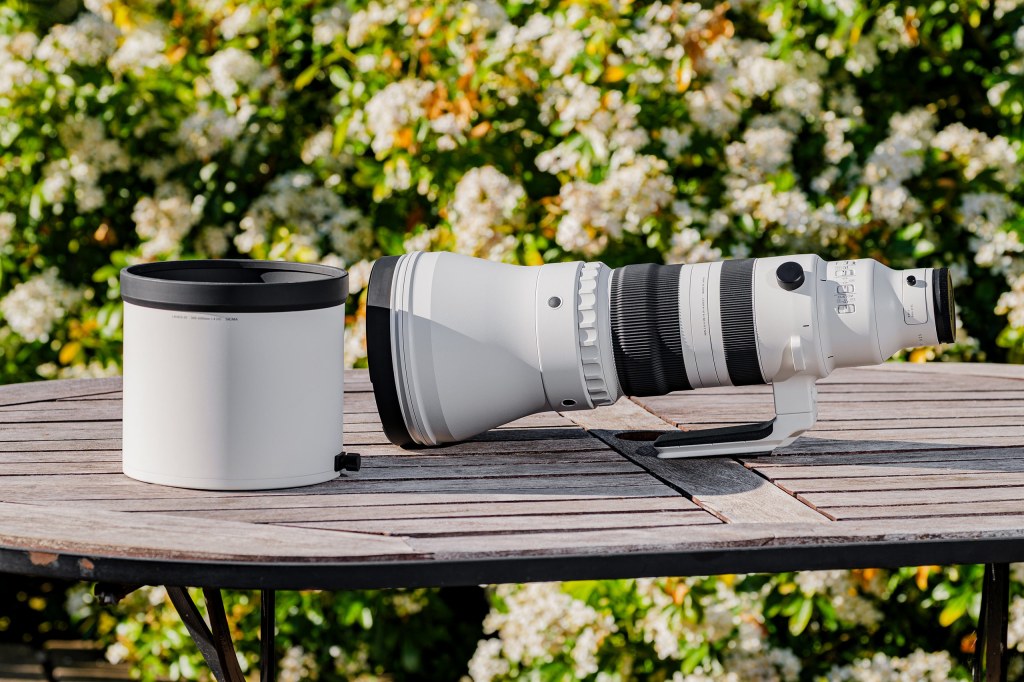 Sigma 300-600 F4 DG OS Sports