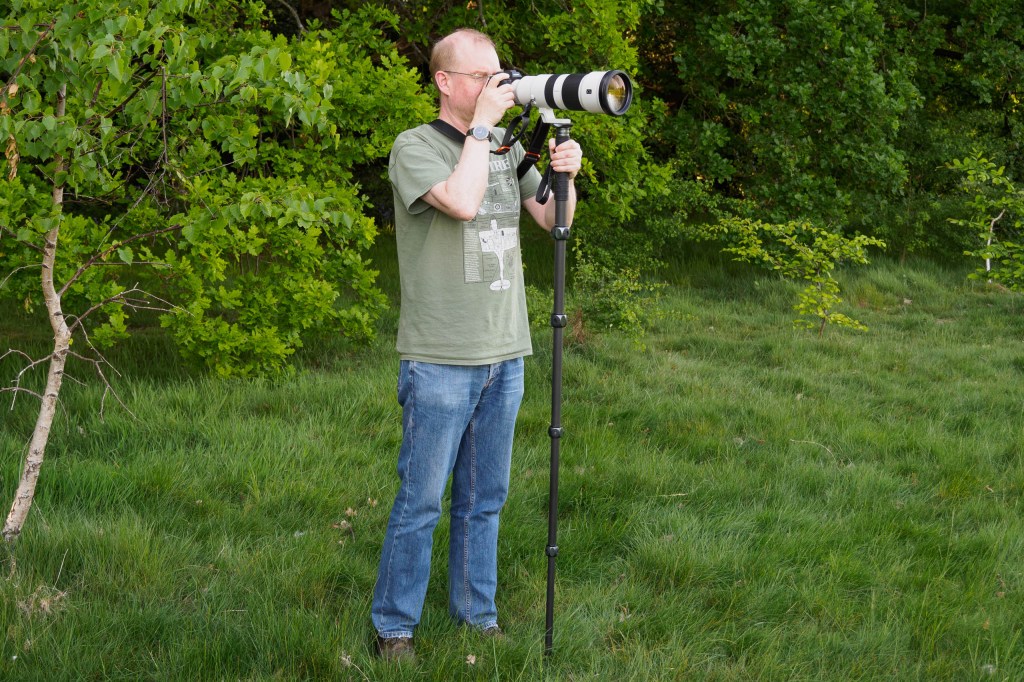 Sony FE 400-800mm F6.3-8 G OSS in use with monopod