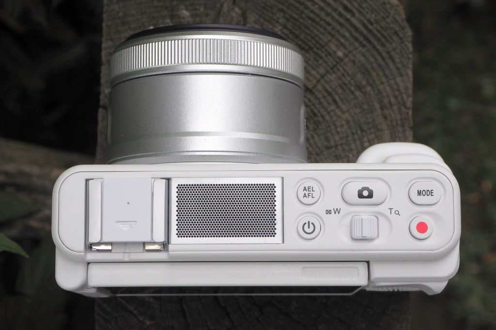 Yashica City200. Photo Gavin Stoker.