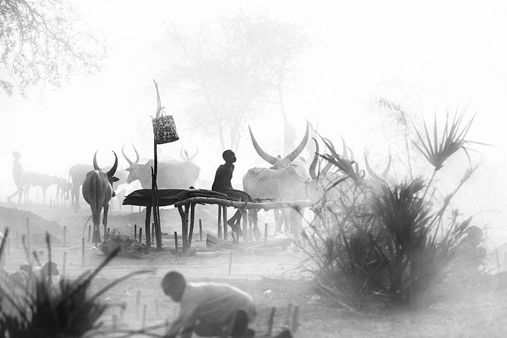 figure is placed perfectly, while the cattle horns and spiky plants 