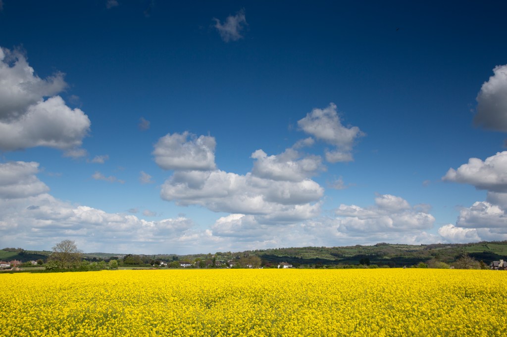 Landscape photo taken with the 5D III: (C) Peter Travers.