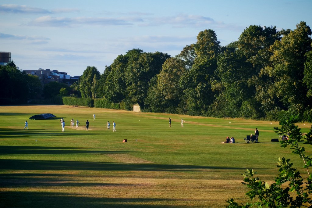 Honor 400 sample image 4x main lens, cricket field