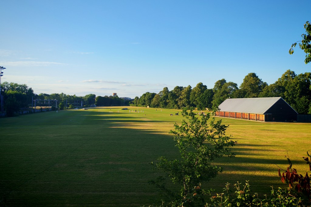 Honor 400 sample image 1x main lens, cricket field