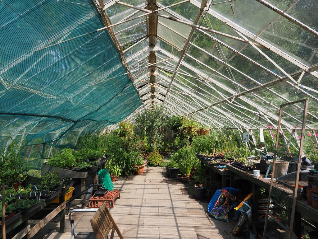 Greenhouse. Photo credit: Joshua Waller