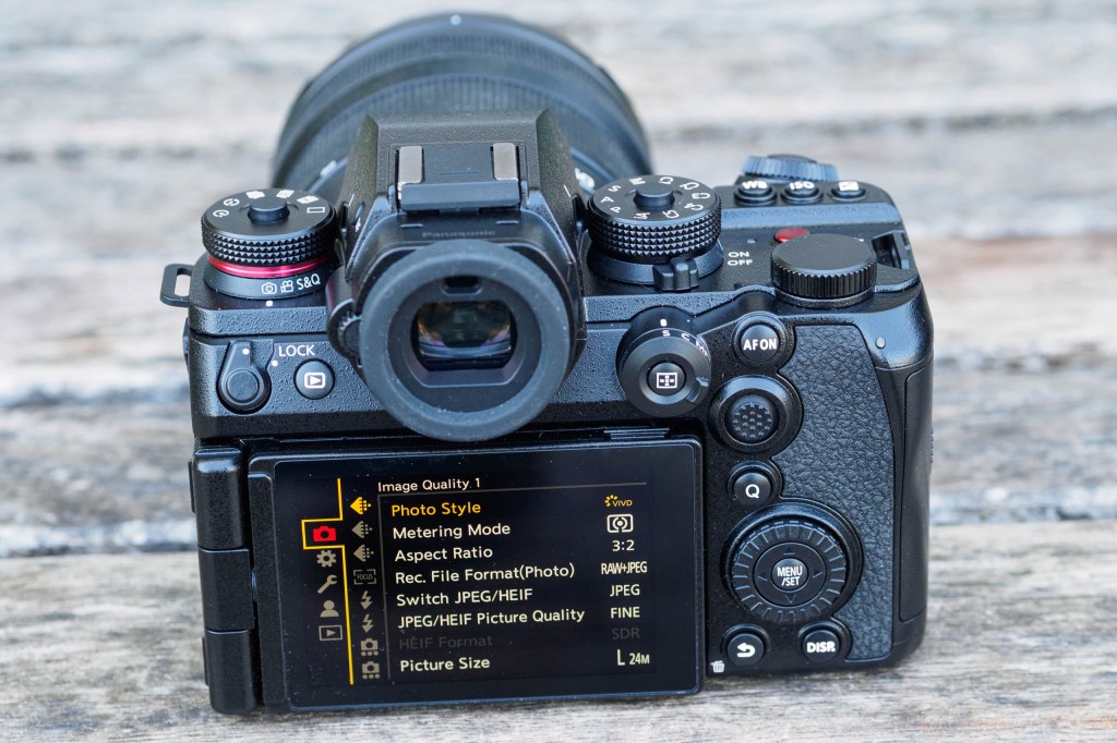 Panasonic Lumix S1IIE rear controls
