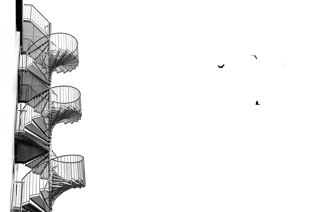 minimal black & white photo of spiral stairs