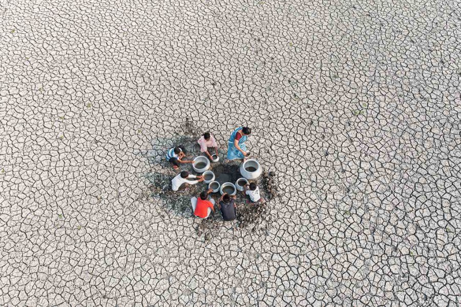 ‘Searching for life’, 2023 By Sandipani Chattopadhyay Courtesy of Wellcome Photography Prize 2025