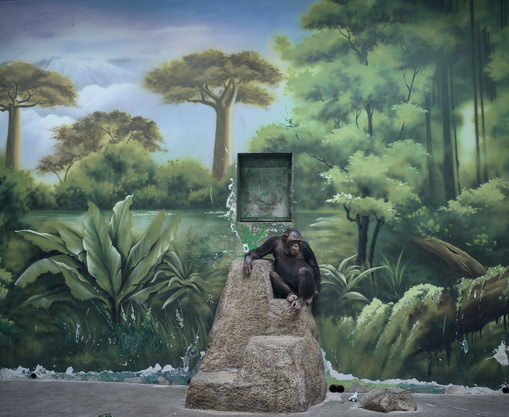 The Anthropocene Illusion Image: Zed Nelson