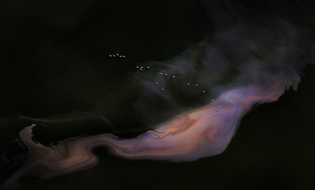 WTPA Runner-up - Journey of Life - Xuejun Long flamingoes flying across landscape