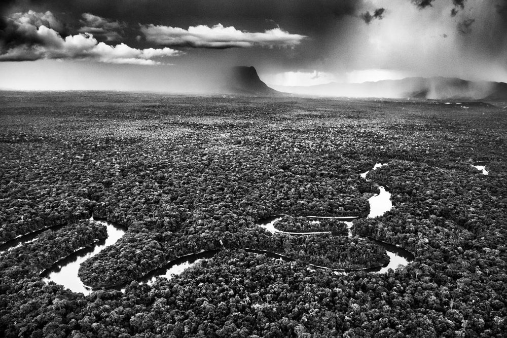 Salgado tribute