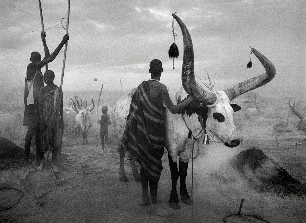 Salgado tribute