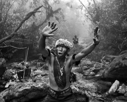 Salgado tribute