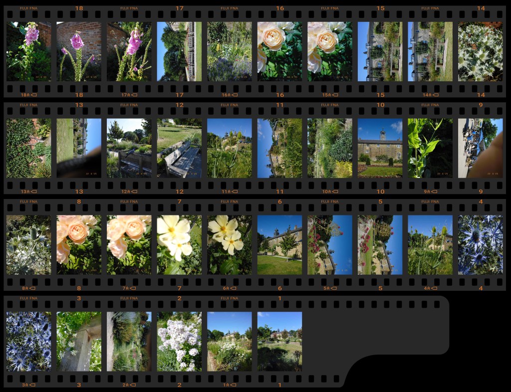 Fujifilm X half film camera mode contact sheet