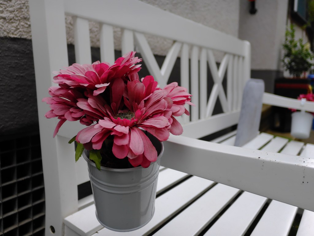Fujifilm X half sample image: flower and bench