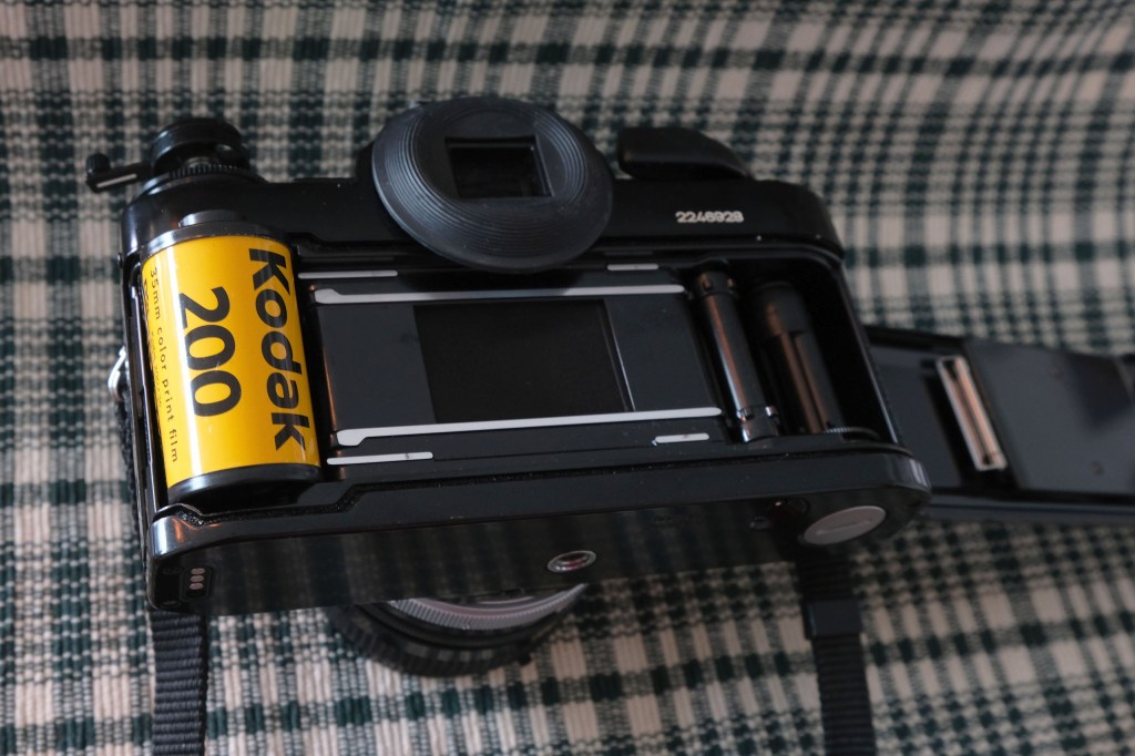 Kodak Gold 200 is widely known as a cheap, quality and reliable option among the film photography community. Image credit: Isabella Ruffatti