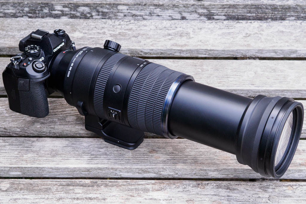 OM System 150-600mm F5-6.3 IS set to 600mm on Olympus E-M1 III