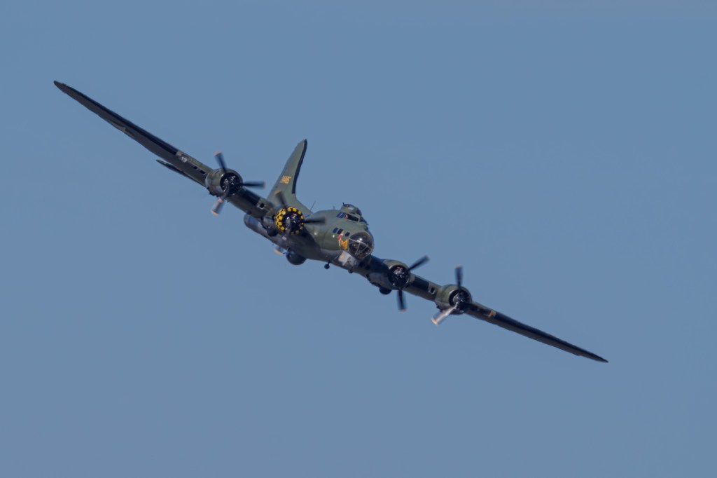 OM System 150-600mm F5-6.3 B-17 Sally B sample image